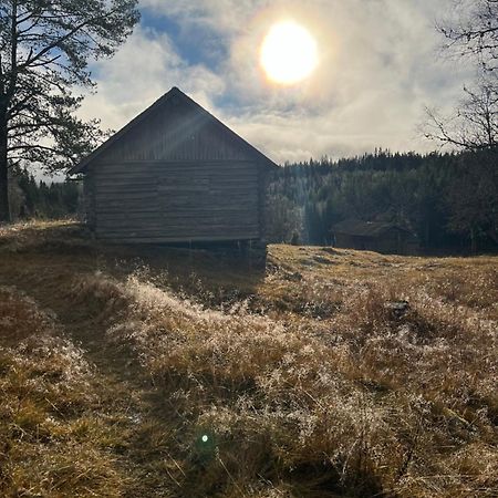 Villa Granhede -Sjoelaege Med Badtunna, Eldstad Med Mera Torsby Bagian luar foto