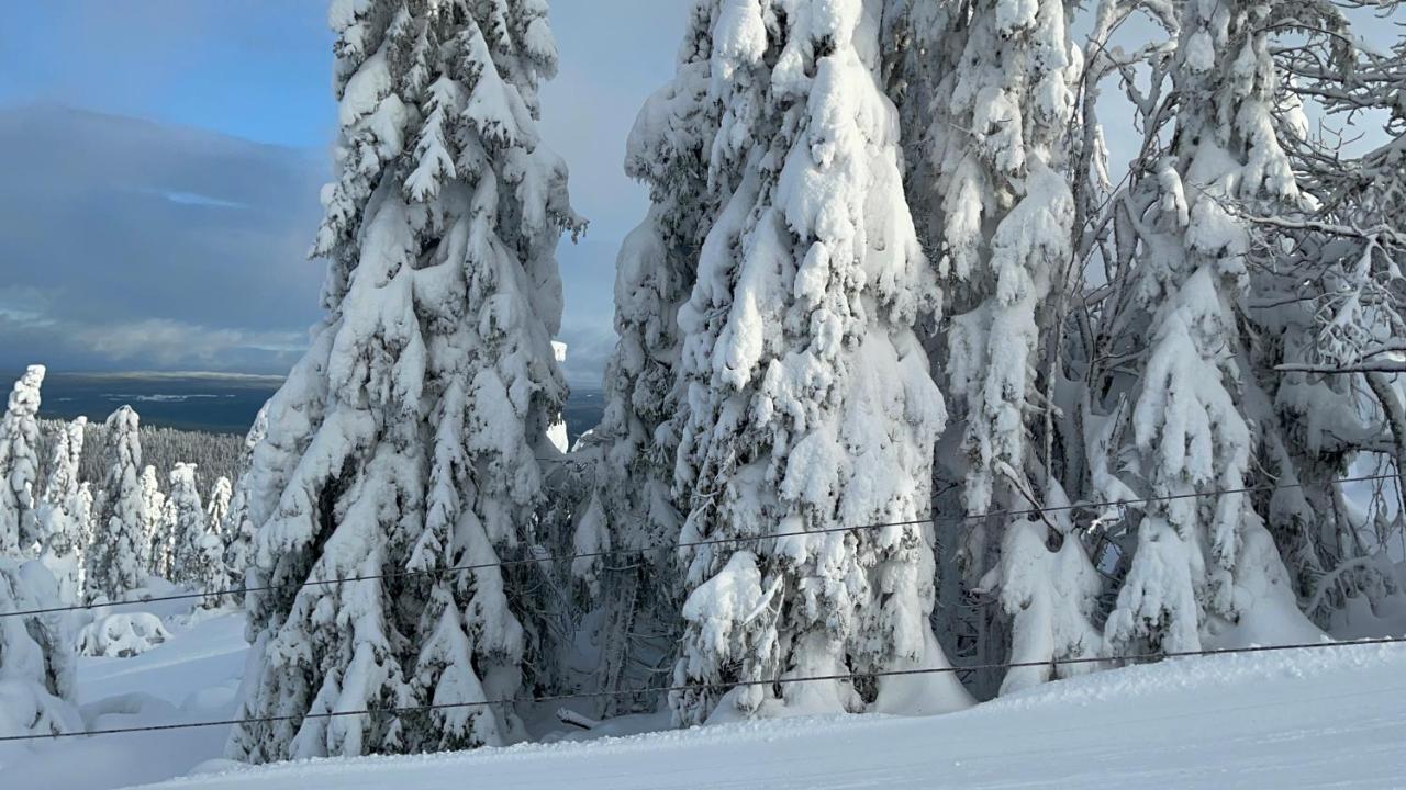 Villa Granhede -Sjoelaege Med Badtunna, Eldstad Med Mera Torsby Bagian luar foto