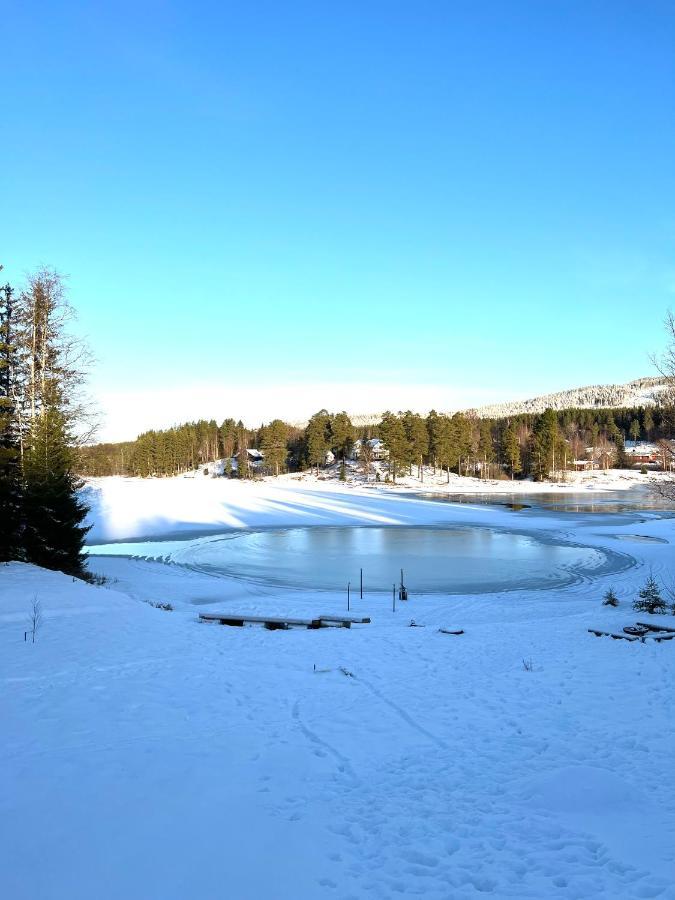 Villa Granhede -Sjoelaege Med Badtunna, Eldstad Med Mera Torsby Bagian luar foto
