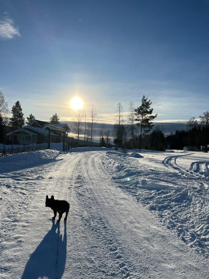 Villa Granhede -Sjoelaege Med Badtunna, Eldstad Med Mera Torsby Bagian luar foto