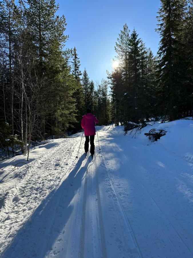 Villa Granhede -Sjoelaege Med Badtunna, Eldstad Med Mera Torsby Bagian luar foto