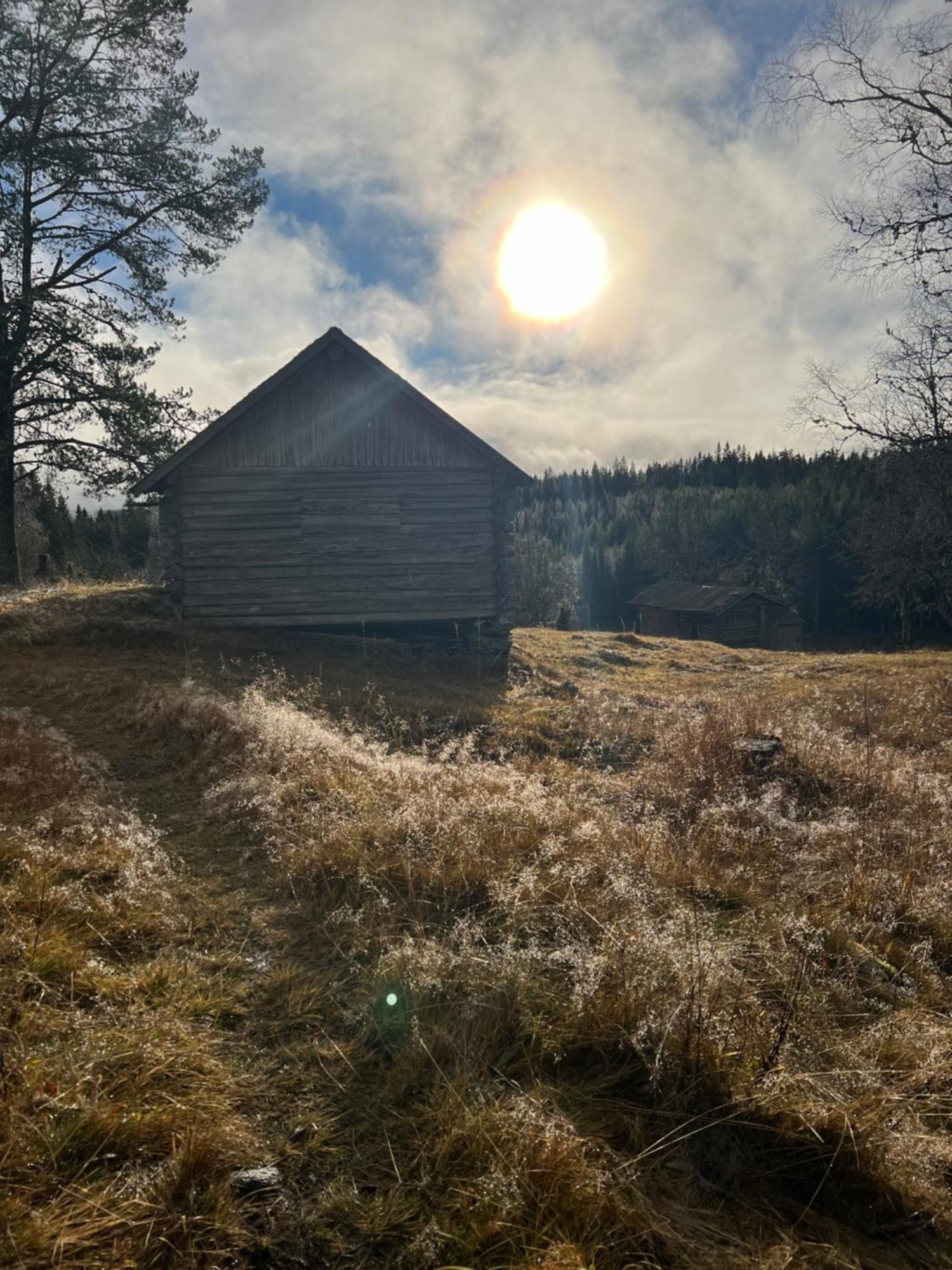 Villa Granhede -Sjoelaege Med Badtunna, Eldstad Med Mera Torsby Bagian luar foto