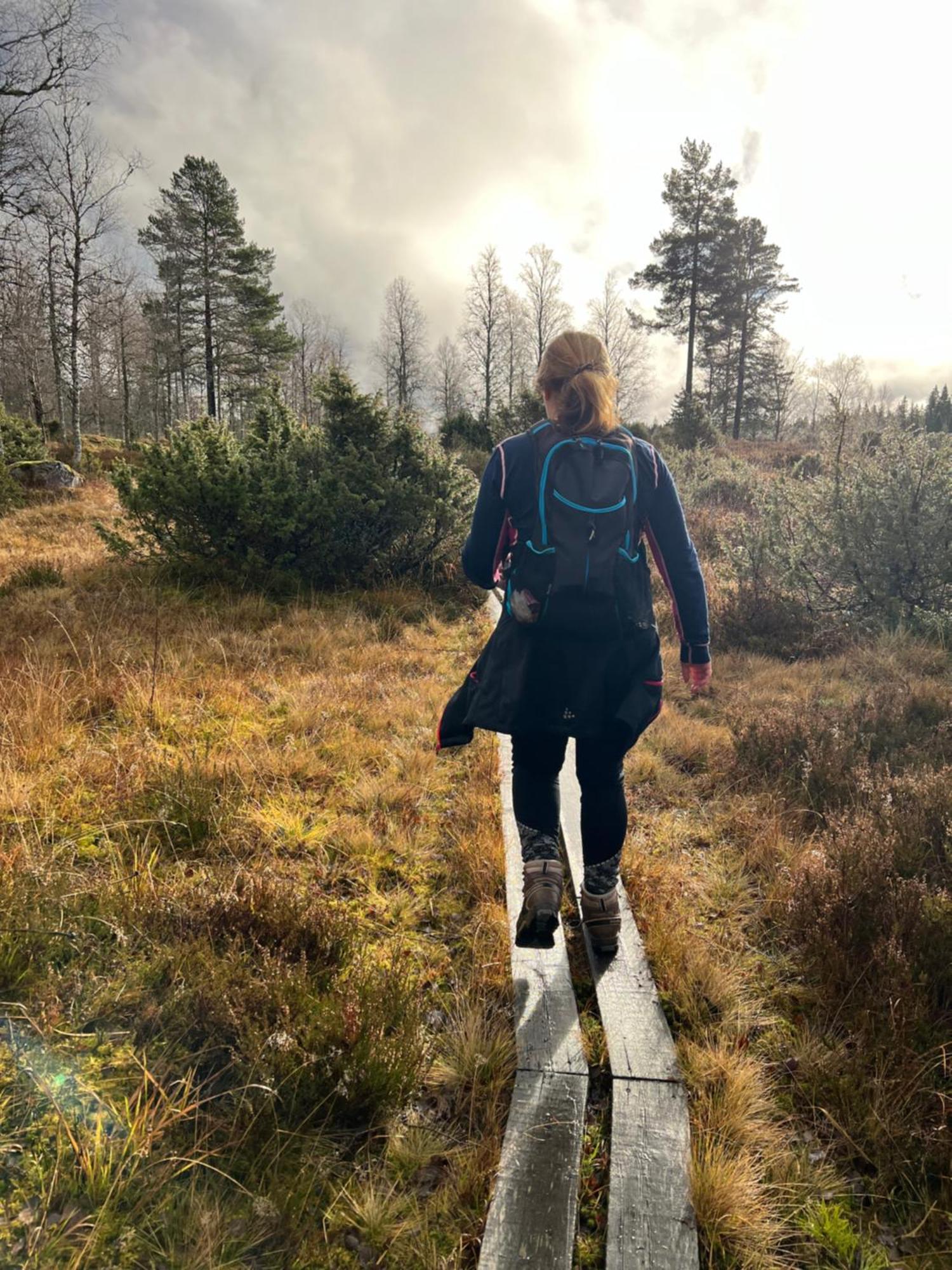 Villa Granhede -Sjoelaege Med Badtunna, Eldstad Med Mera Torsby Bagian luar foto