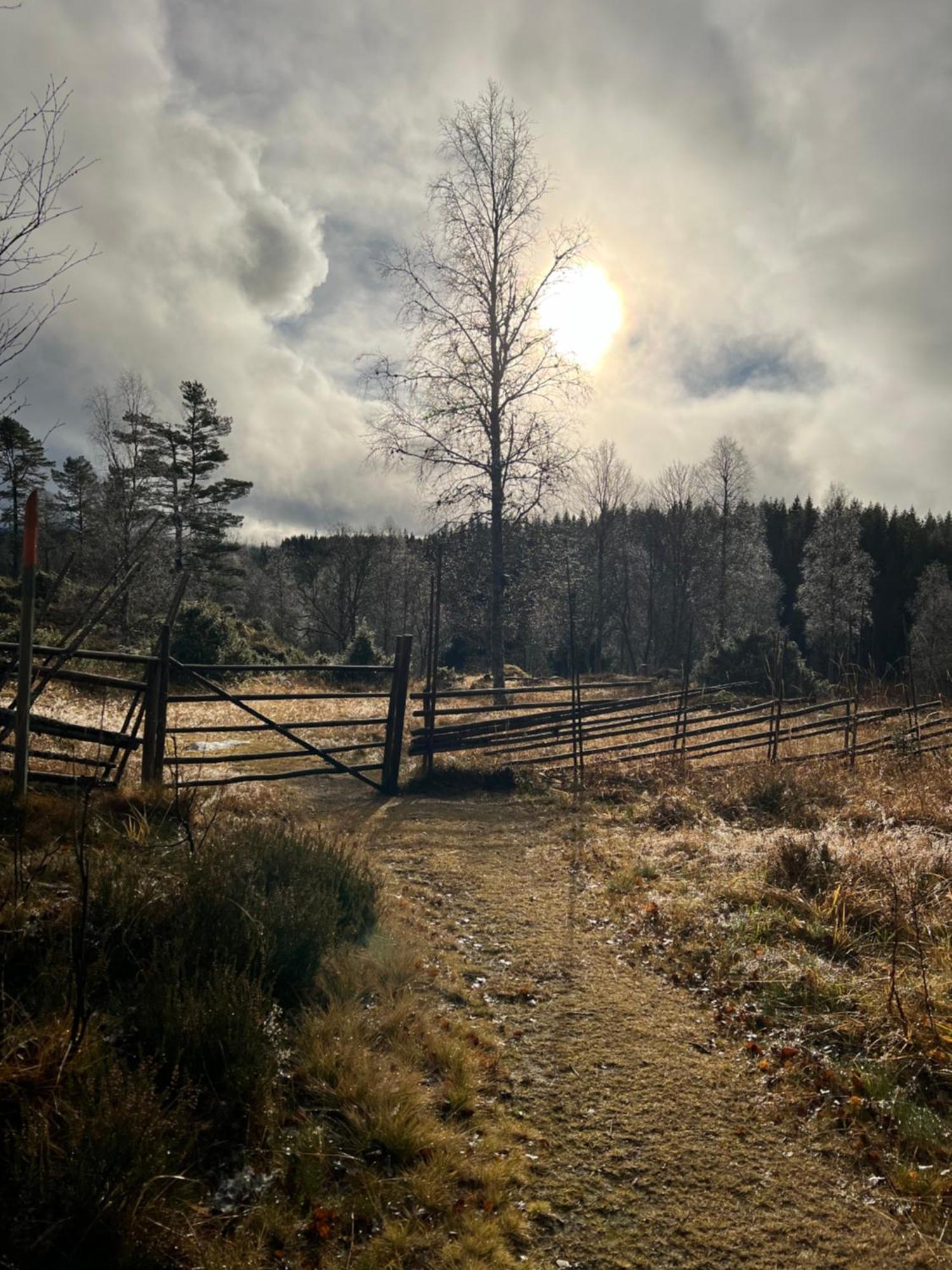 Villa Granhede -Sjoelaege Med Badtunna, Eldstad Med Mera Torsby Bagian luar foto